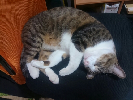 20190115044703278.jpg