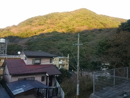 20190123034324616.jpg