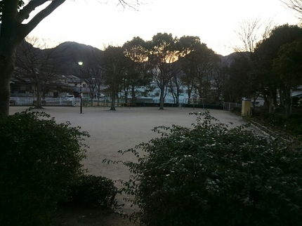 20190125033644233.jpg