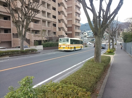 20190130144520386.jpg