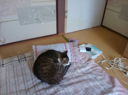 20190225111804515.jpg
