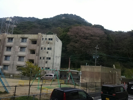 20190330065510480.jpg