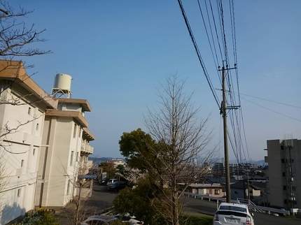 20190403082428210.jpg