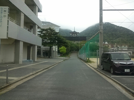 20190424114227921.jpg