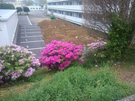 20190425041422286.jpg
