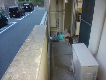 20190505053411438.jpg