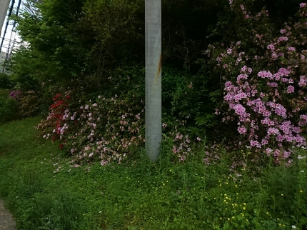 20190507030938758.jpg