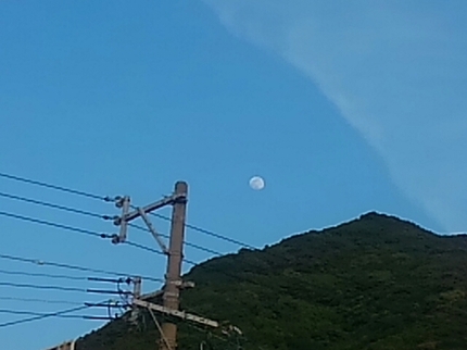 20190517033500503.jpg