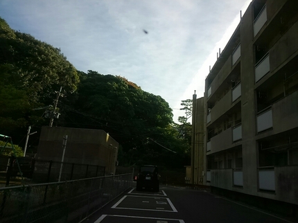20190522024235172.jpg