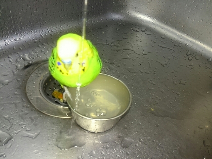 20190601144500359.jpg