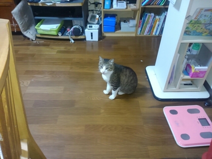20190602080149209.jpg
