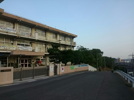 20190605060943449.jpg
