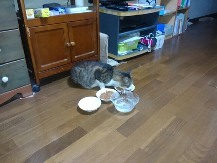 20190609013720997.jpg