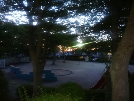 20190613035346333.jpg