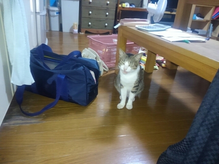 20190615034505127.jpg