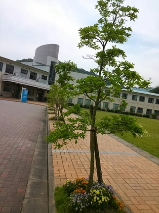 20160502125652664.jpg