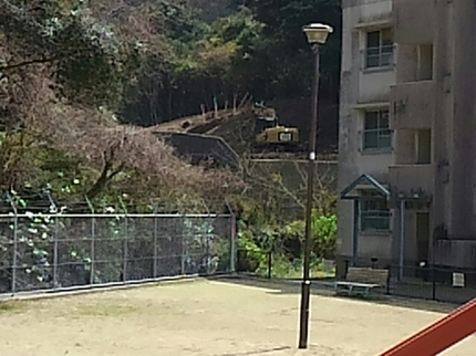 20190323124002985.jpg