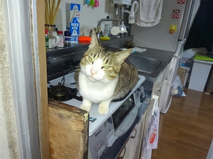 20190324074336245.jpg