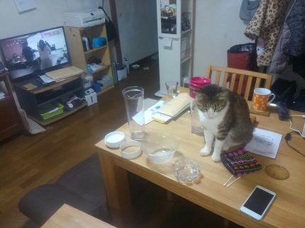 20190325065329543.jpg