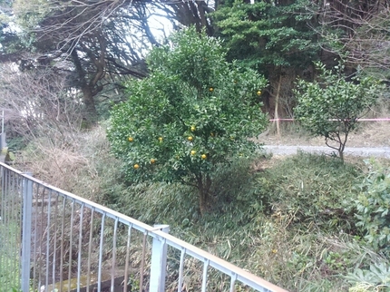 20190326070408474.jpg