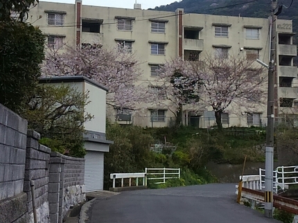 20190328202904683.jpg