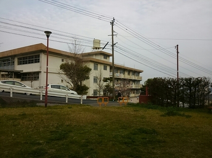 20190329073458516.jpg