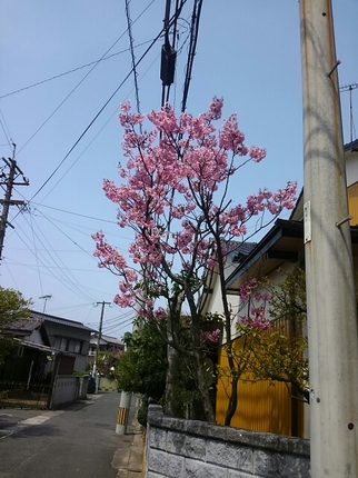 20190329123905123.jpg