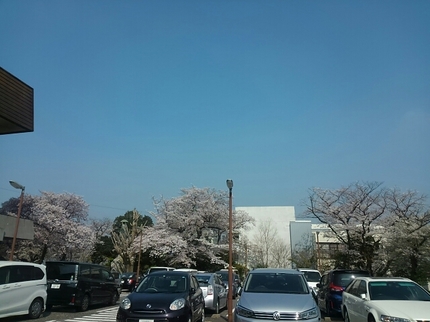 20190406095424502.jpg