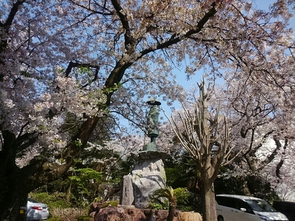20190406101630387.jpg