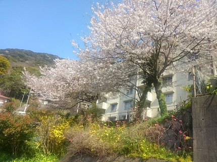 20190406160130608.jpg