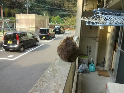 20190407090803278.jpg