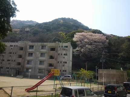 20190407111025364.jpg