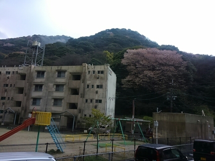 20190408064125886.jpg