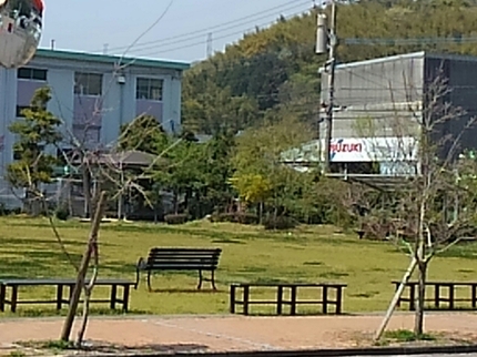 20190408131241692.jpg