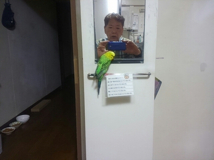 20190412064515565.jpg