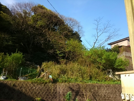 20190412074558370.jpg