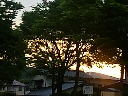 20190509025123744.jpg