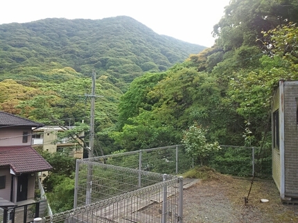 20190509084545915.jpg