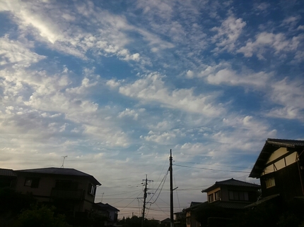 20190511014139495.jpg