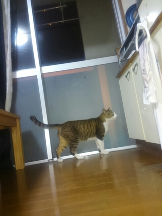 20190513033907707.jpg