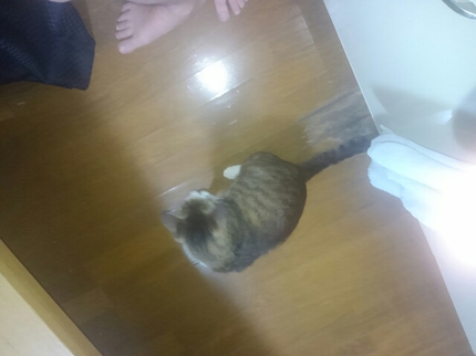 20190520040109331.jpg
