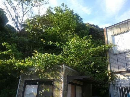 20190521072438806.jpg