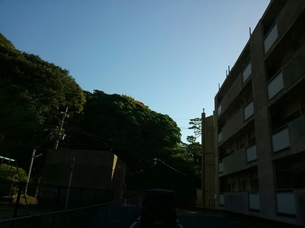 20190523035310016.jpg