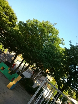20190523035333523.jpg