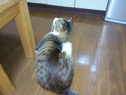 20190610034246183.jpg