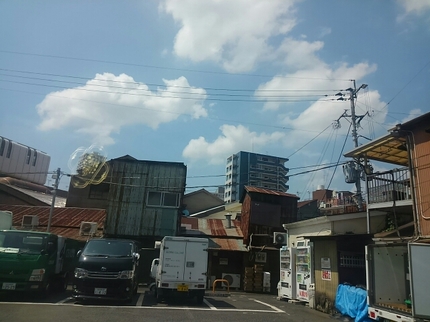 20190706103213957.jpg