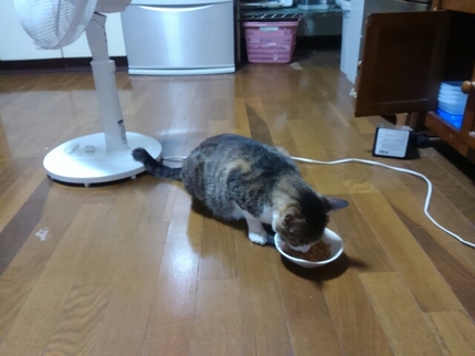 20190707012803949.jpg