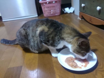 20190720031720066.jpg