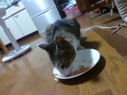 20190721020614141.jpg