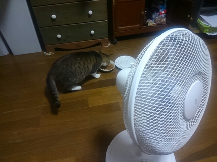 20190802040144356.jpg